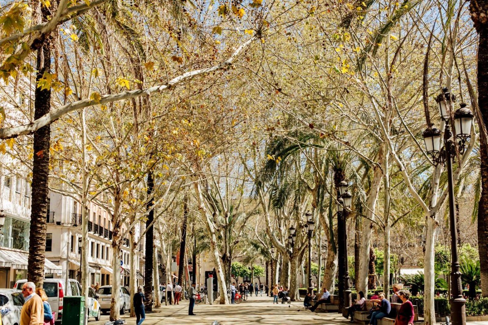 Plaza De La Magdalena I, Sevilla Centro Historico Экстерьер фото